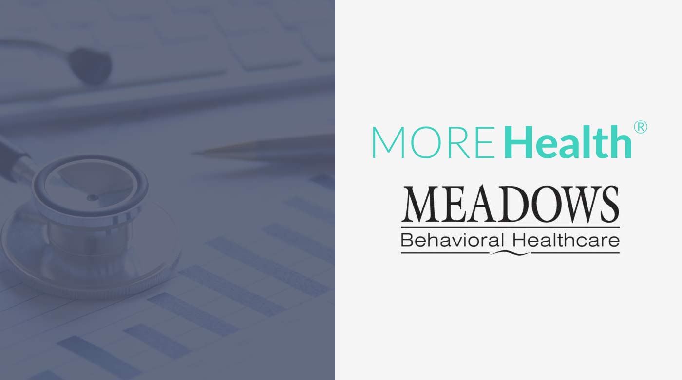 More Health and Meadows Behavioral Healthcare partnership